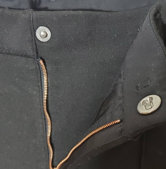 Kit and Ace "Phillips" Pleated viscose/silk Pant - Picture 2 of 10